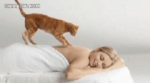 Cat-Massage