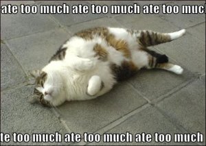ate-too-much