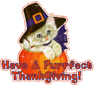 Thanksgiving-cute-kitty-in-pumpkin