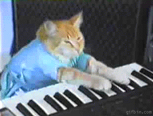 keyboardcat1